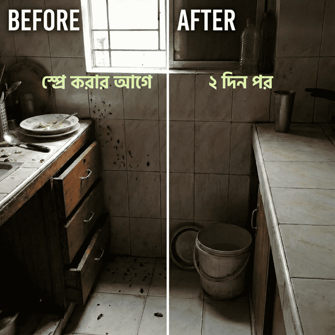 Before After - Eco Pest Guard ব্যবহারের আগে ও পরে